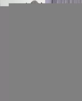 气质美女全自动