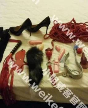 可玩sm的高档次女奴非常爽