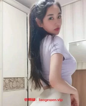 温州鹿城小野猫